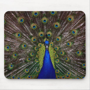 Alfombrilla De Ratón Proud Peacock mousepad