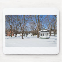 Pueblo Típico de Vermont en Invierno