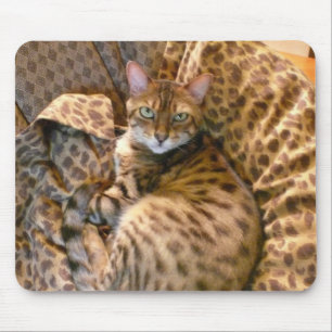 Alfombrilla De Ratón ¿Puede usted verme?