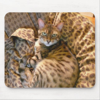 Alfombrilla De Ratón ¿Puede usted verme?