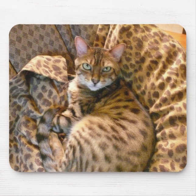 Alfombrilla De Ratón ¿Puede usted verme? (Frente)