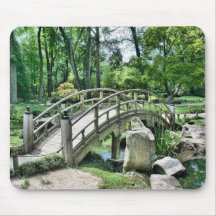 Puente de arco japonés