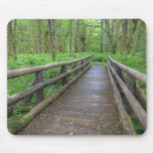 Alfombrilla De Ratón puente de madera del sendero Maple Glade, helechos