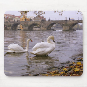 Alfombrilla De Ratón Puente Swans y Charles en Praga