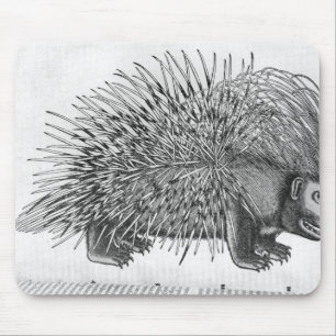 Alfombrilla De Ratón Puerco espín, de 'Historia Animalium