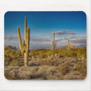 Alfombrilla De Ratón Puesta del sol del cactus en Arizona
