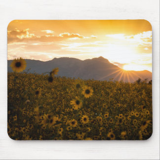 Alfombrilla De Ratón Puesta del sol del girasol
