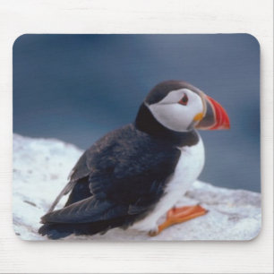 Alfombrilla De Ratón Puffin