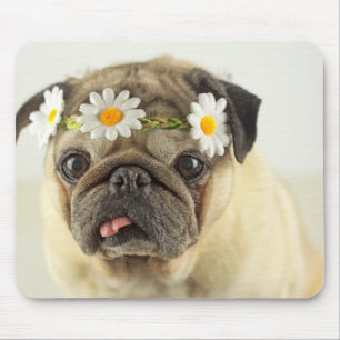 Alfombrilla De Ratón Pug con la corona de margarita