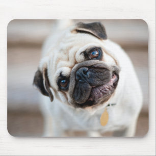 Alfombrilla De Ratón Pug Head Tilt