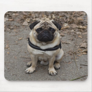 Alfombrilla De Ratón Pug muy grave