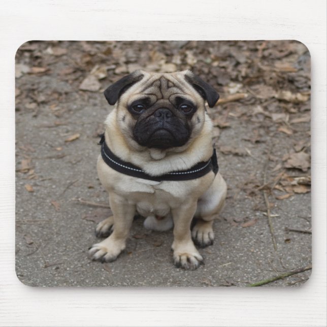 Alfombrilla De Ratón Pug muy grave (Frente)