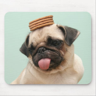 Alfombrilla De Ratón Pug quiere tratamientos