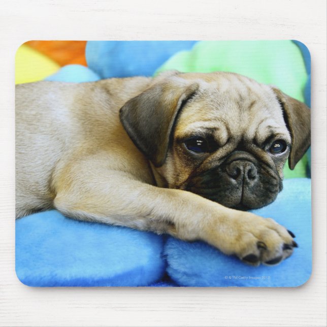Alfombrilla De Ratón Pug tendido sobre almohadas (Frente)