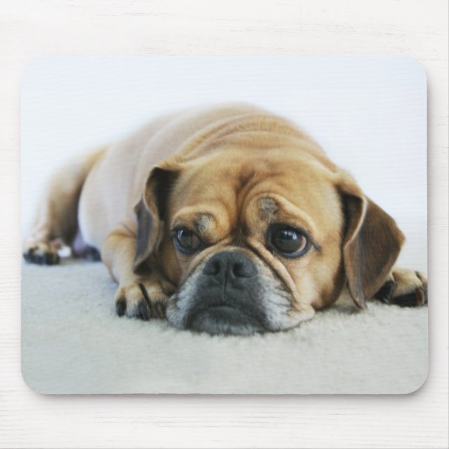 Alfombrilla De Ratón Puggle lindo Mousepad (Frente)