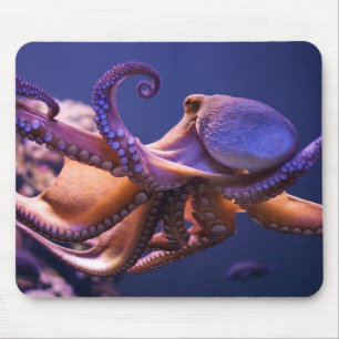 Alfombrilla De Ratón Pulpo Mousepad