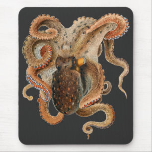 Alfombrilla De Ratón Pulpo Vulgaris, Animales de la Vida Marina Antigua