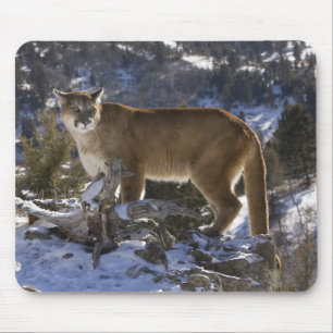 Alfombrilla De Ratón Puma americano