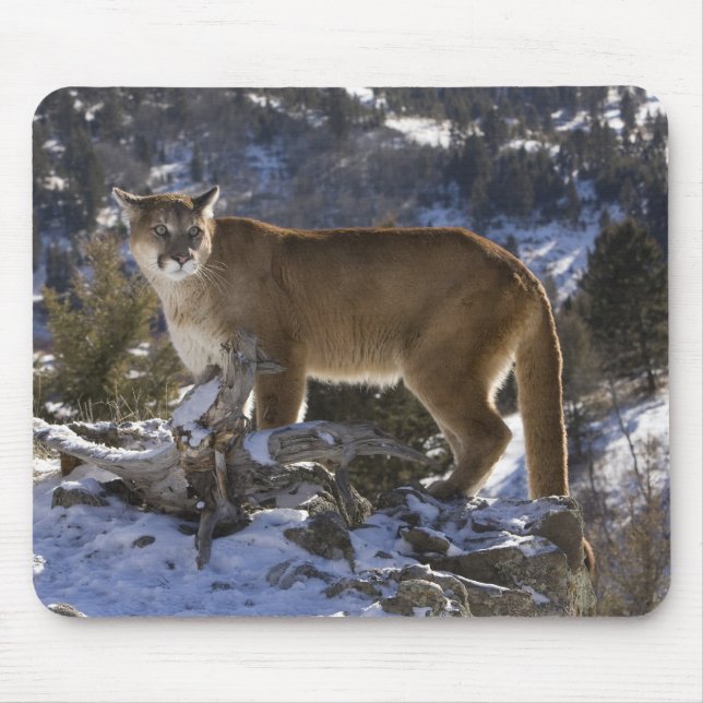 Alfombrilla De Ratón Puma americano (Frente)