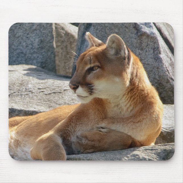 Alfombrilla De Ratón Puma Mousepad (Frente)