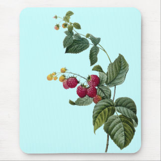 Alfombrilla De Ratón Puntillas de la fruta
