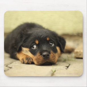 Alfombrilla De Ratón Puppy Mousepad