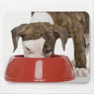 Alfombrilla De Ratón Puppy pitbull comiendo de plato