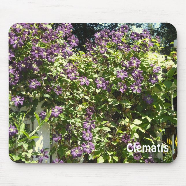 Alfombrilla De Ratón Purple Clematis Garden (Frente)