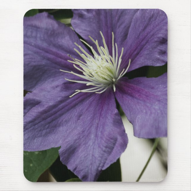 Alfombrilla De Ratón Purple Clematis Mousepad (Frente)