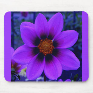 Alfombrilla De Ratón Purple Flower at Dusk