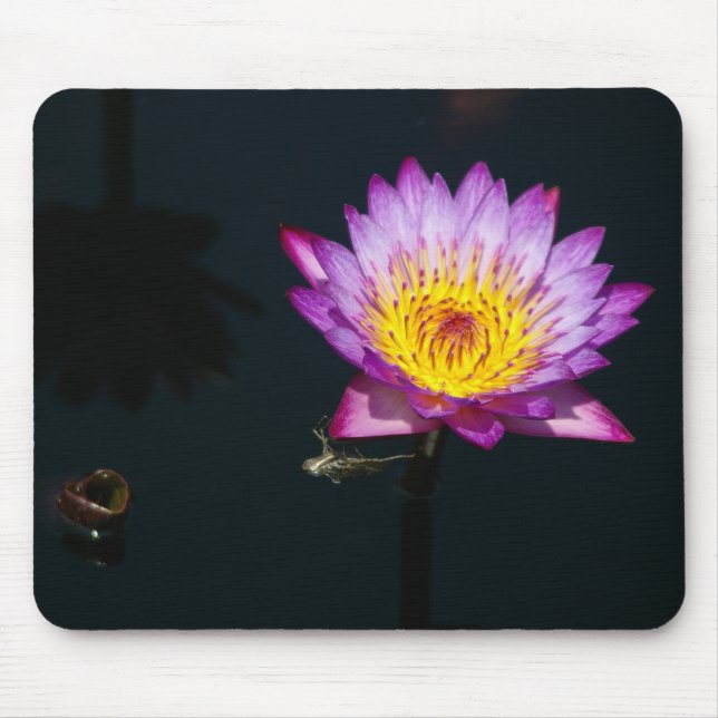 Alfombrilla De Ratón Purple Lotus Waterlily y Dragonfly Nymph Mouse pad (Frente)