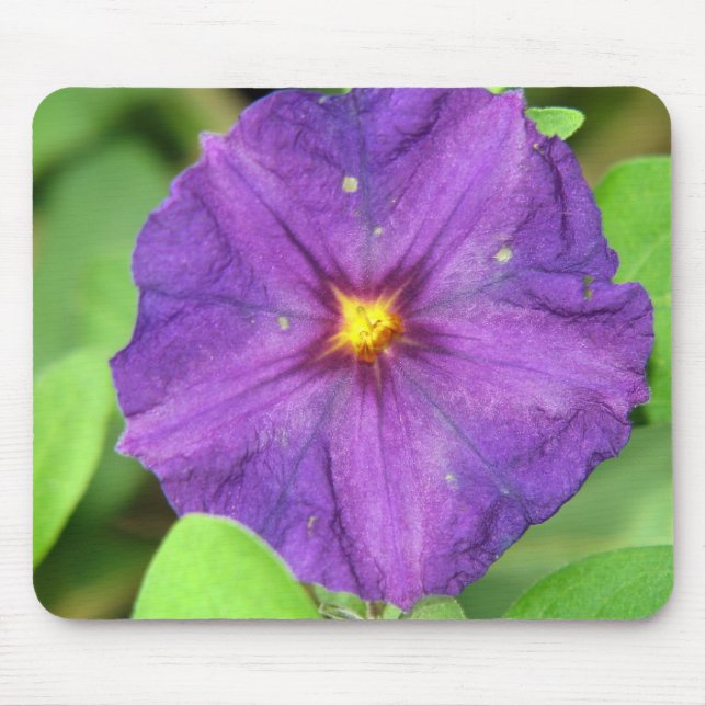 ALFOMBRILLA DE RATÓN PÚRPURA (Frente)