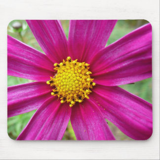 Alfombrilla De Ratón Púrpura Cosmos Wildflower