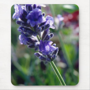 Alfombrilla De Ratón Púrpura Flor Spike