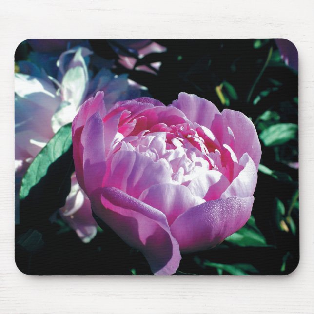 Alfombrilla De Ratón Púrpura Peony Mousepad (Frente)