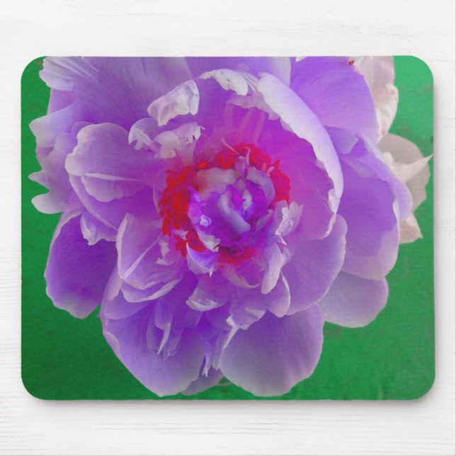 Alfombrilla De Ratón Púrpura Peony MousePad (Frente)
