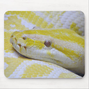 Alfombrilla De Ratón Python birmano