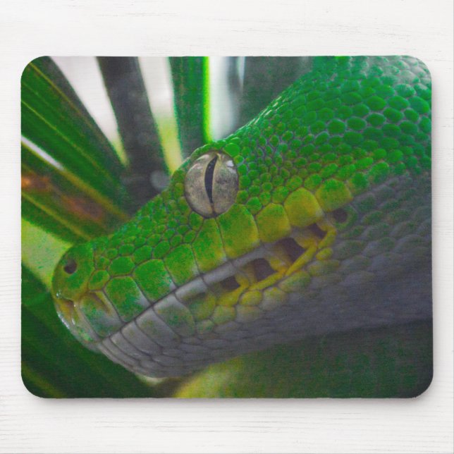 Alfombrilla De Ratón Python de árbol verde (B) (Frente)