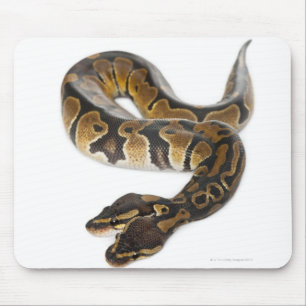 Alfombrilla De Ratón Python Royal o Ball Python de dos cabezas