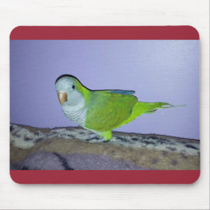 Alfombrilla De Ratón Quaker Parrot Mousepad