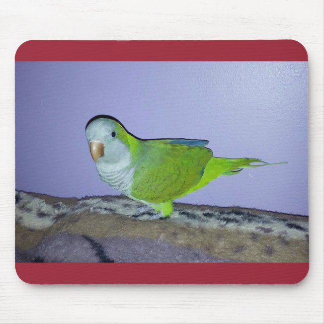 Alfombrilla De Ratón Quaker Parrot Mousepad (Frente)