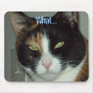 Alfombrilla De Ratón Qué….