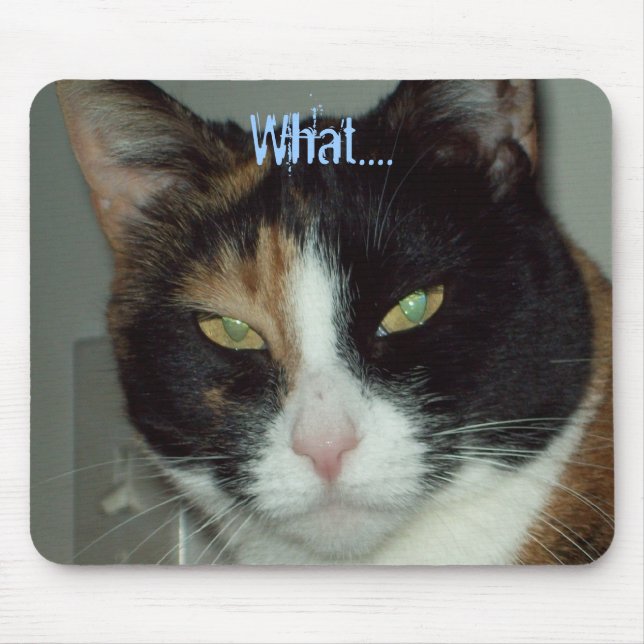 Alfombrilla De Ratón Qué…. (Frente)