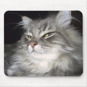 Alfombrilla De Ratón ¿Qué actitud?