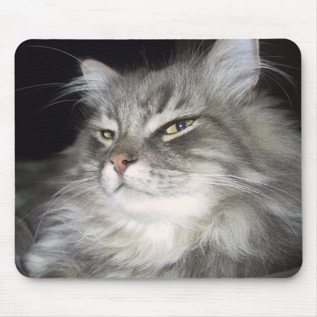 Alfombrilla De Ratón ¿Qué actitud? (Frente)