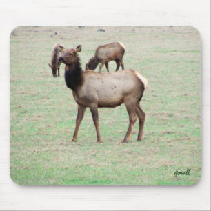 Alfombrilla De Ratón ¿Qué coño miras?