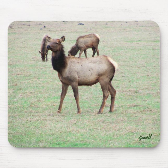 Alfombrilla De Ratón ¿Qué coño miras? (Frente)