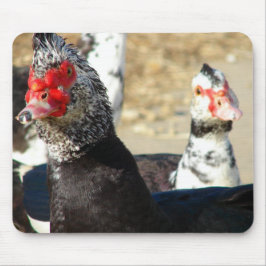 Alfombrilla De Ratón "¿Qué está haciendo?"