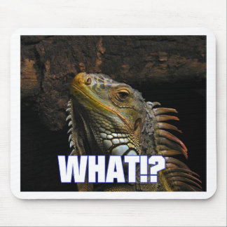 Alfombrilla De Ratón ¿¡Qué!? Iguana