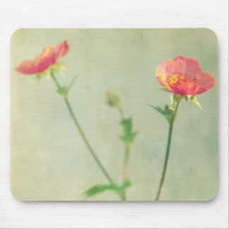 Alfombrilla De Ratón Qué Mousepad siguiente